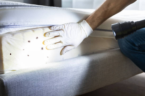Wildlife Control Services in Leisure World, MD