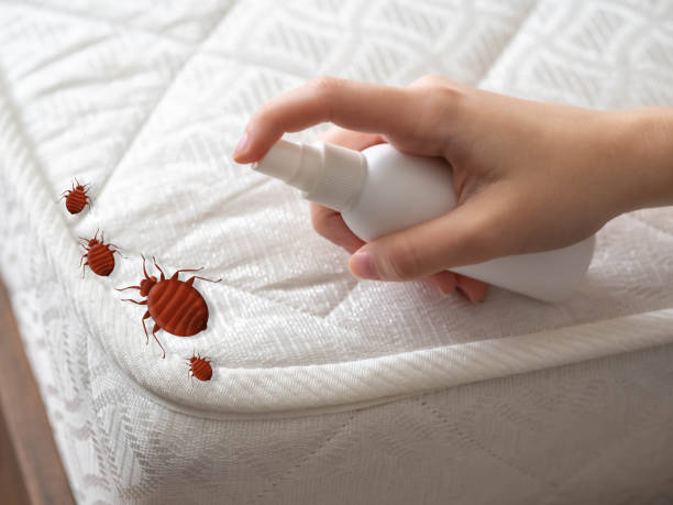 Best Best Pest Control Companies  in Leisure World, MD